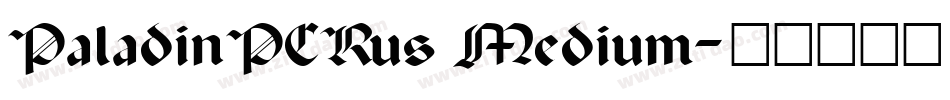 PaladinPCRus Medium字体转换